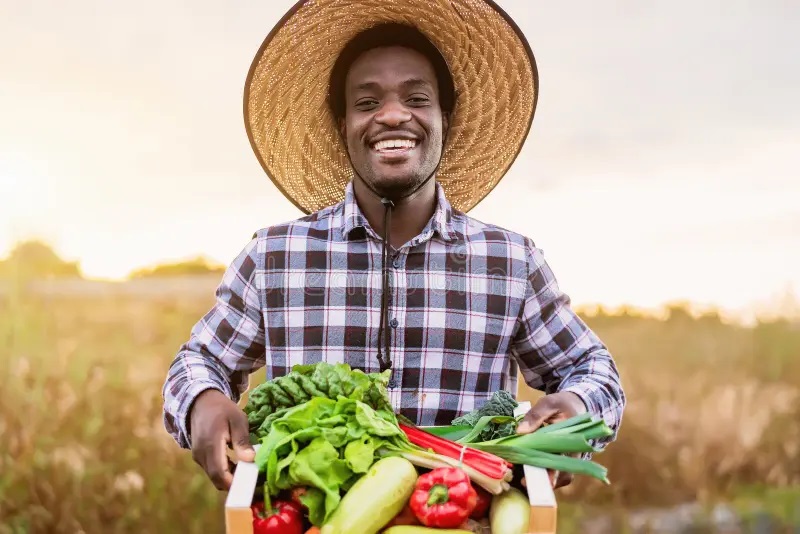 Formation en création et gestion d'une entreprise agropastorale