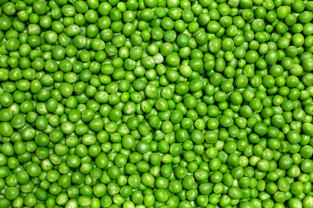 Formation en Culture du Pois