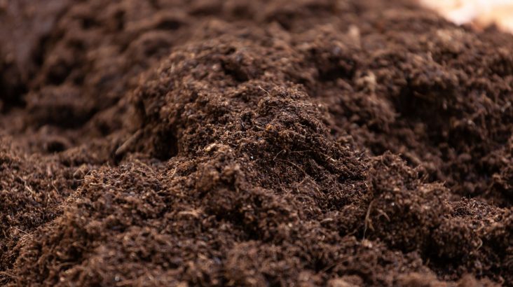 Guide pratique - Production de terreau de qualité